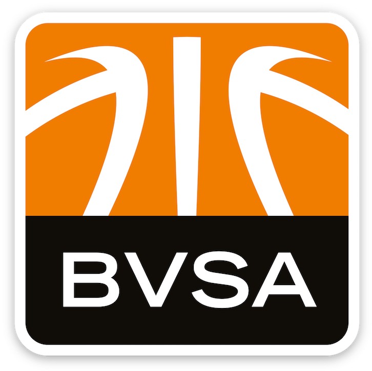BVSA Logo clean mit Schlagschatten
